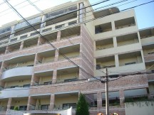 CIMG1566
