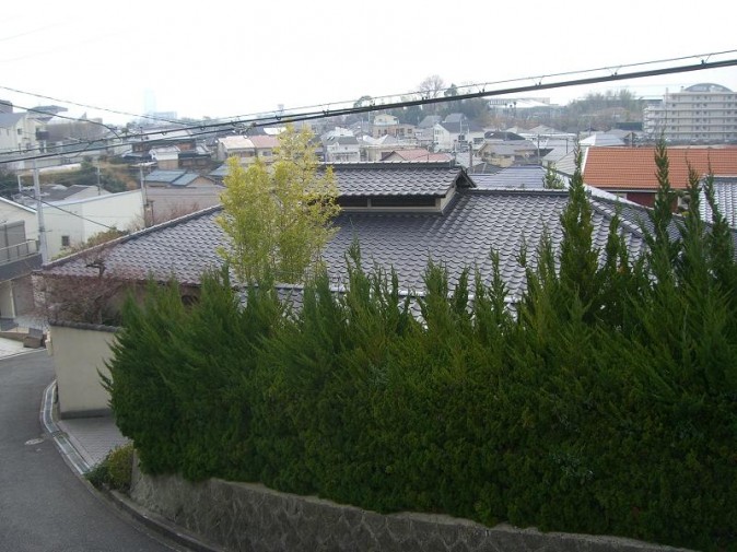 CIMG2409 CIMG2409