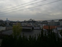 CIMG2410 CIMG2410
