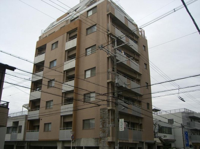 CIMG2549 CIMG2549