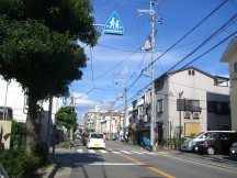 CIMG2742 CIMG2742